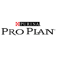 Pro Plan