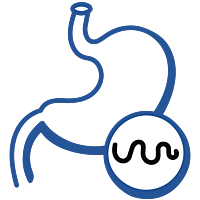 Gut Health