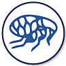 Fleas