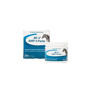Amp5 Paste 250Ml Pot