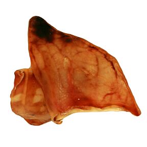 Natural Pet Treat Pig Ears 100