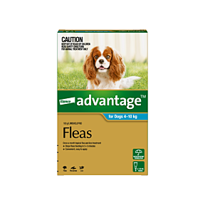 Advantage Dog Medium 4-10kg Aqua