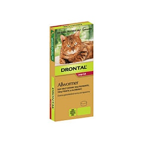 Drontal Allwormer Tablet Cat Large Up to 6kg