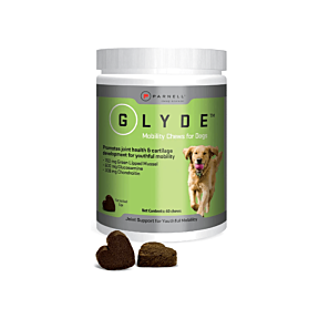 Glyde Mobility Chews for Dogs 60s