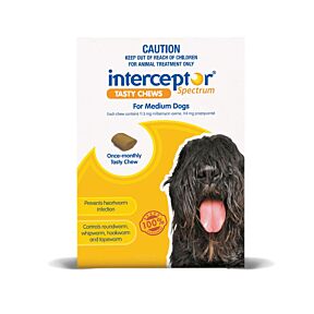 Interceptor Spectrum Dog Medium 11-22kg Yellow