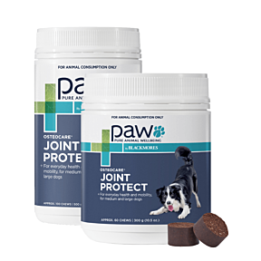 PAW Osteocare Joint Protect Medium and Large Dog Chews