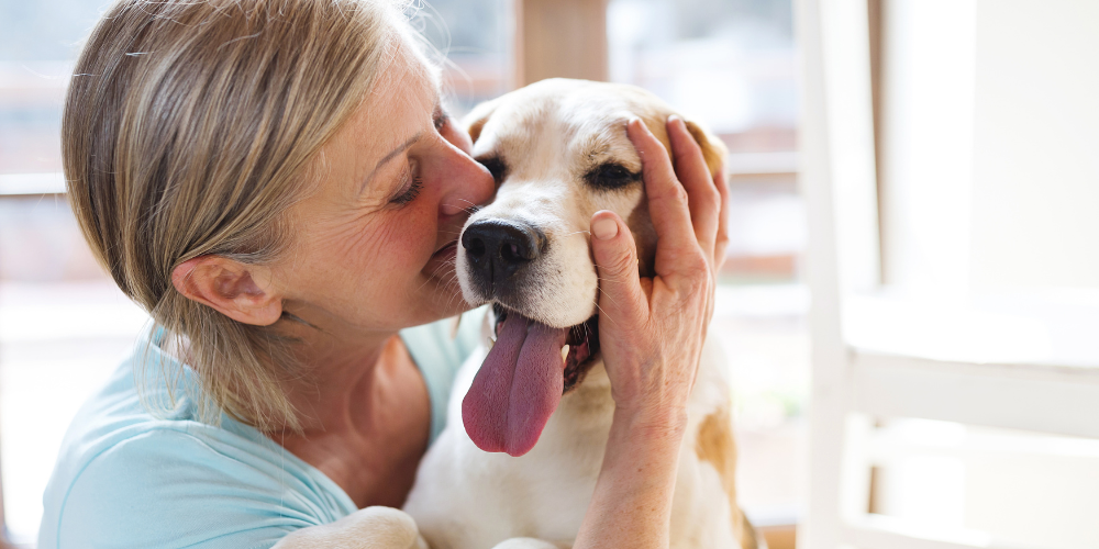 Six Key Signs Your Dog is Craving More Love and Attention