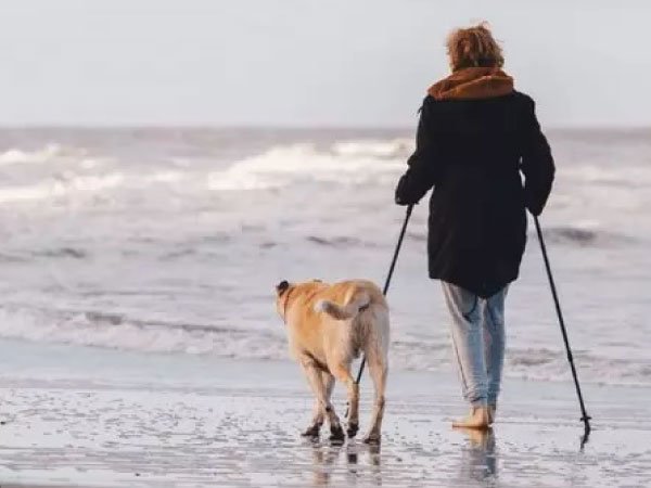 dog and owner on beachside