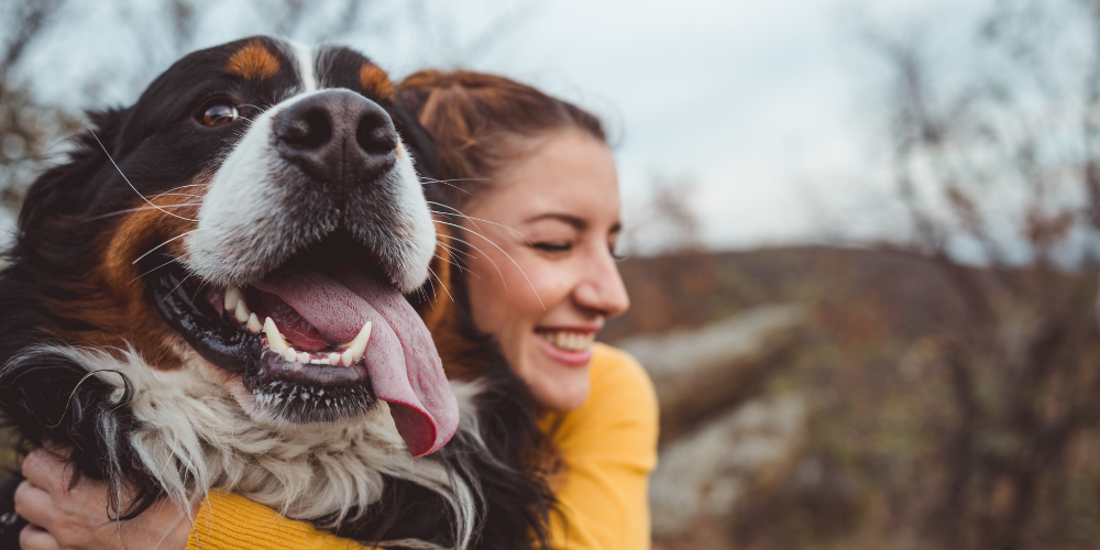 Are You Shortening Your Dogs Life?