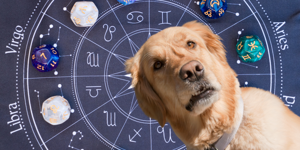 Dog Horoscopes