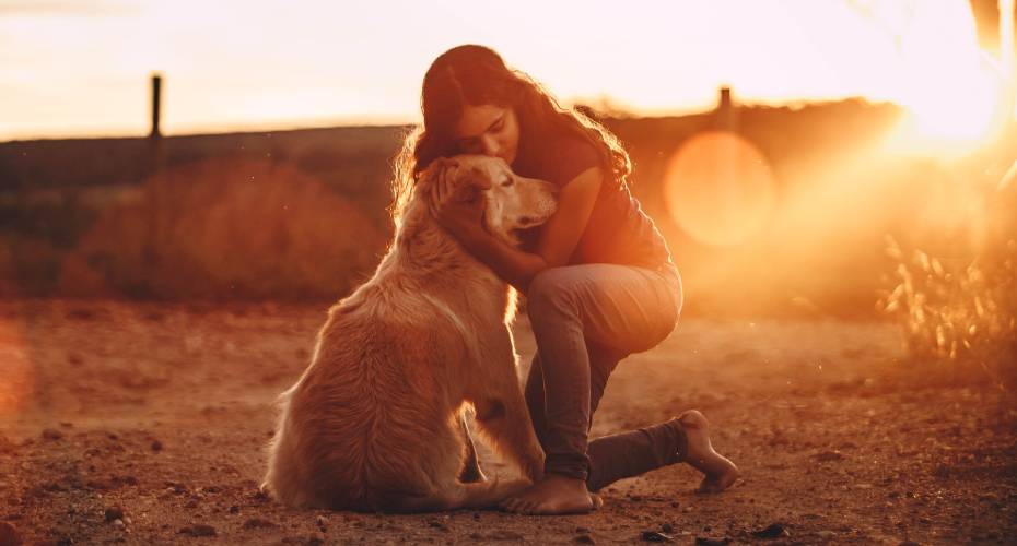 Are You A Responsible Dog Owner?