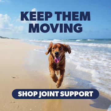 Joint Support