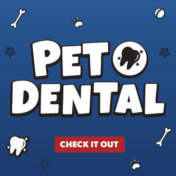 Dog Dental