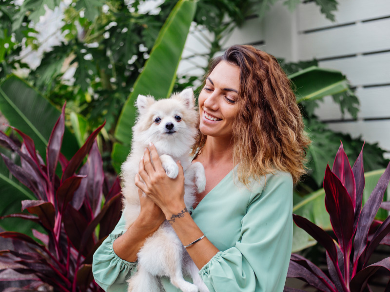 Dog and cat parasite protection guide