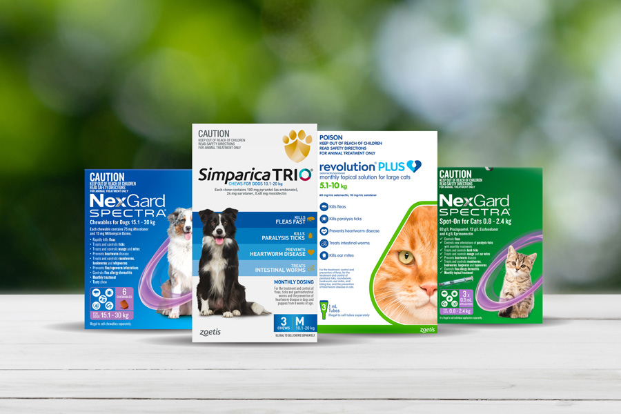 Dog and cat parasite prevention guide
