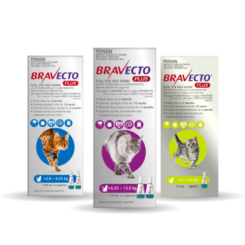 Bravecto Plus for cats