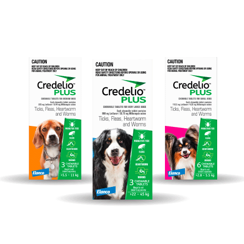 Credelio Plus for dogs