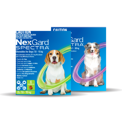Nexgard Spectra for dogs
