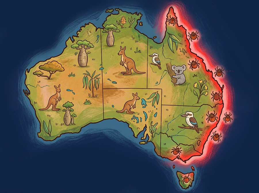 Australian tick risk areas