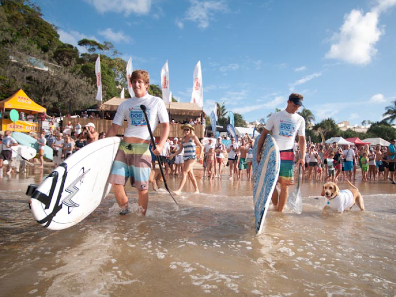 2013 Surfing Dog Championships highlight