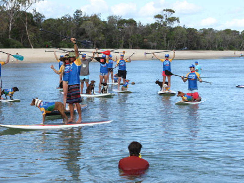 2014 Surfing Dog Championships photo