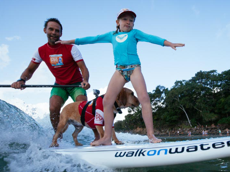 2015 Surfing Dogs event highlight