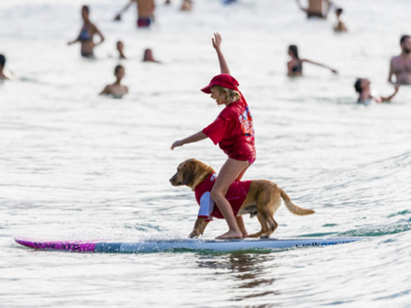 Team Rama at the 2016 Surfing Dog Spectacular