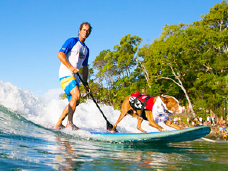 2017 Surfing Dog Spectacular team group photo