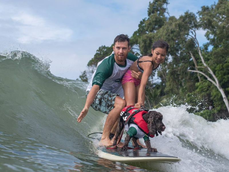 2018 Surfing Dog Championships highlight