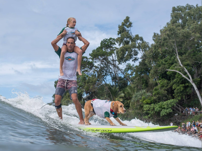 Jonesy, Opal and Hugsley at the 2018 Surfing Dog Championships