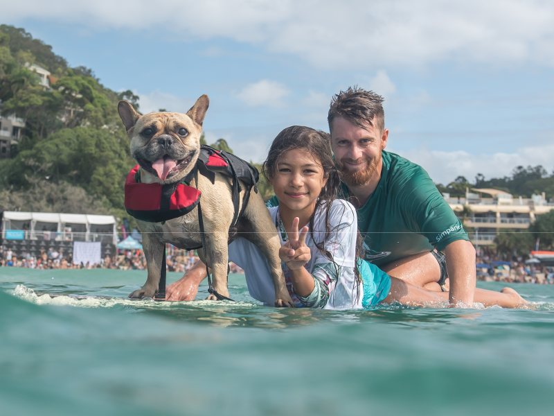 Jonesy, Opal and Hugsley at the 2019 Surfing Dog Championships