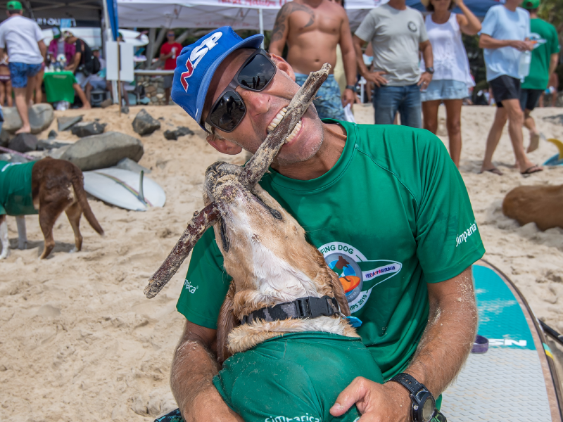 Crowd and competitors at the 2019 Surfing Dog Championships