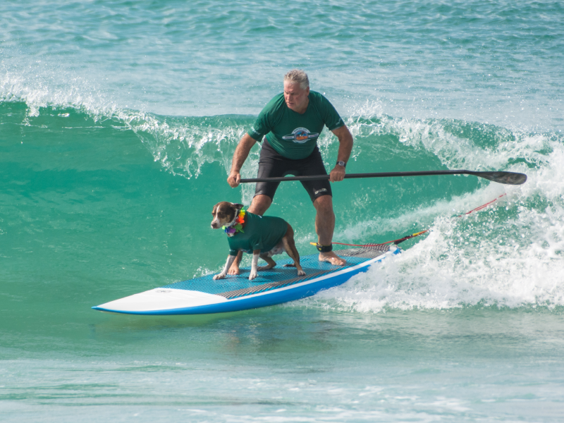 2019 Surfing Dog Championships team group photo