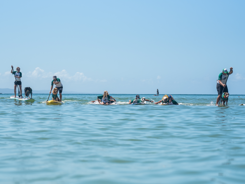 2020 Surfing Dog Championships highlight