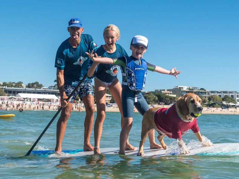 2021 Surfing Dog Championships highlight