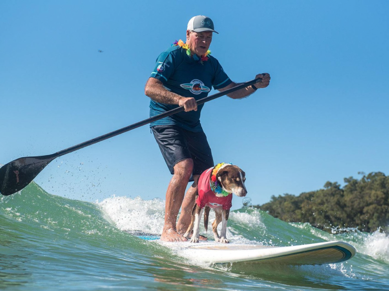 2021 Surfing Dog Championships photo