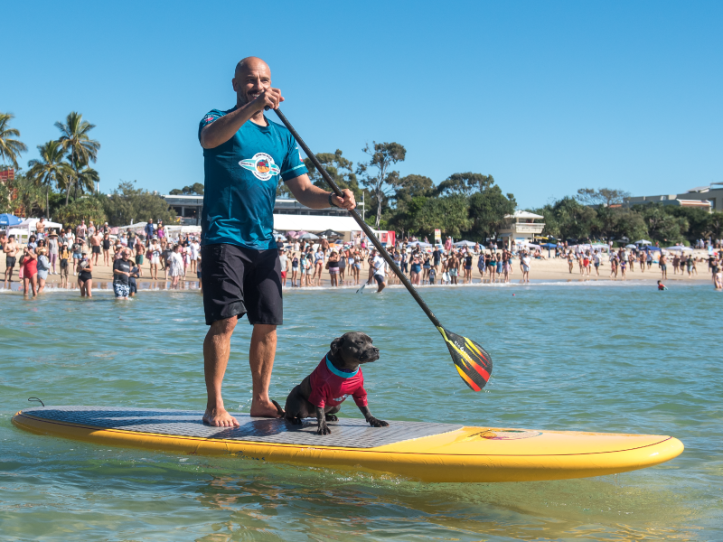 2021 Surfing Dog Championships photo