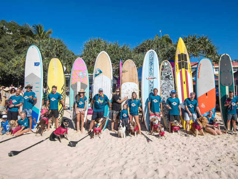 Crowd and competitors at the 2021 Surfing Dog Championships