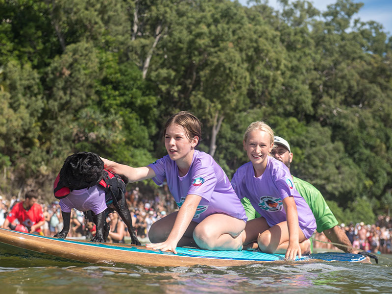 Huey and Hugs at the 2022 Surfing Dog Championships