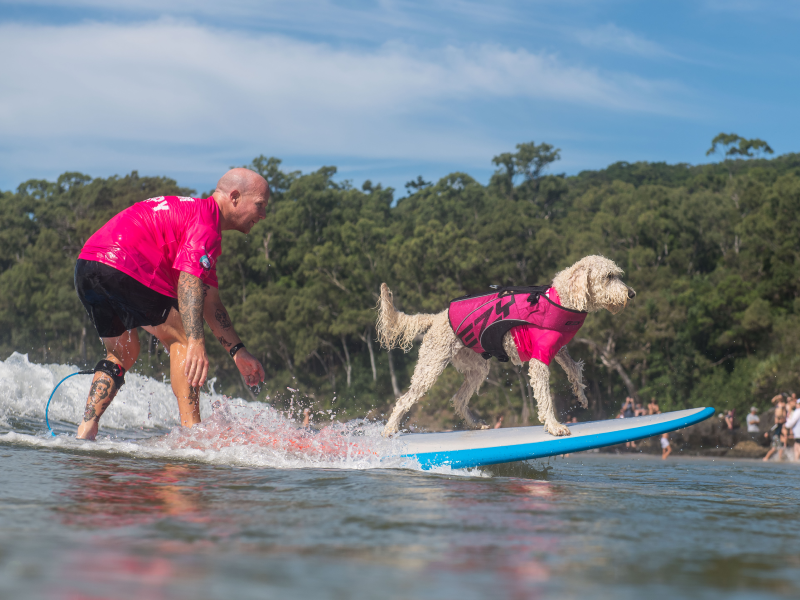Pickles and Dan at the 2022 Surfing Dog Championships