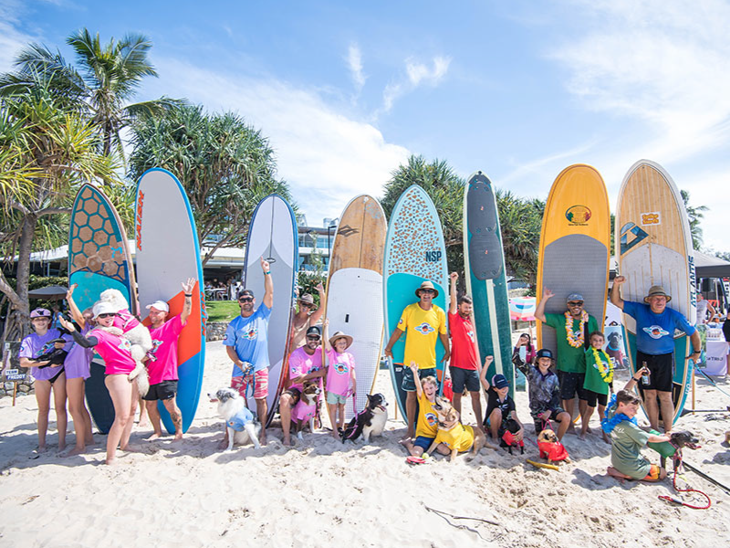 Crowd and competitors at the 2022 Surfing Dog Championships