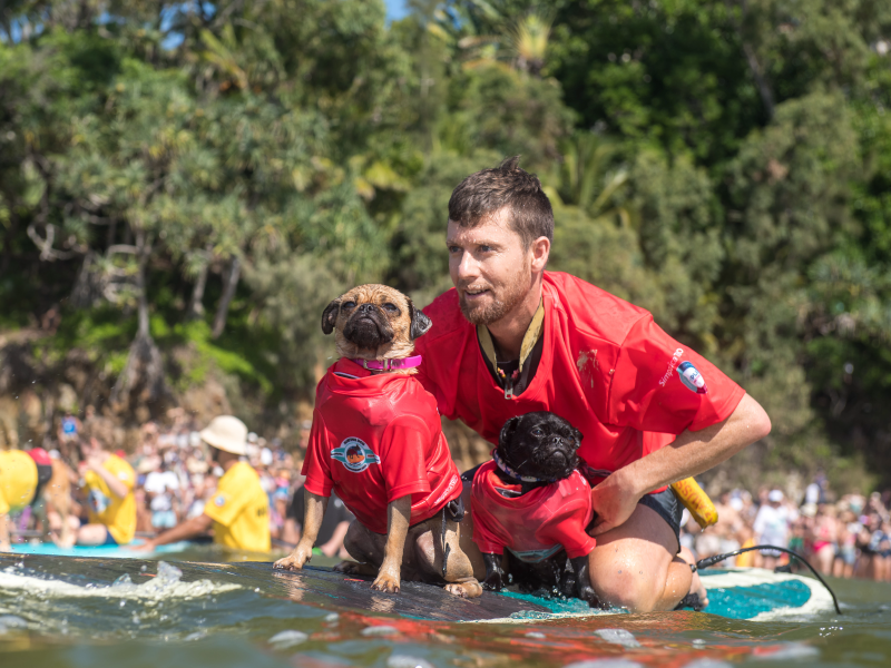 2022 Surfing Dog Championships team group photo