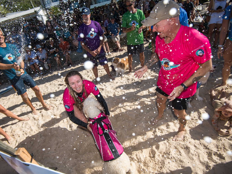 2023 Surfing Dog Championships highlight