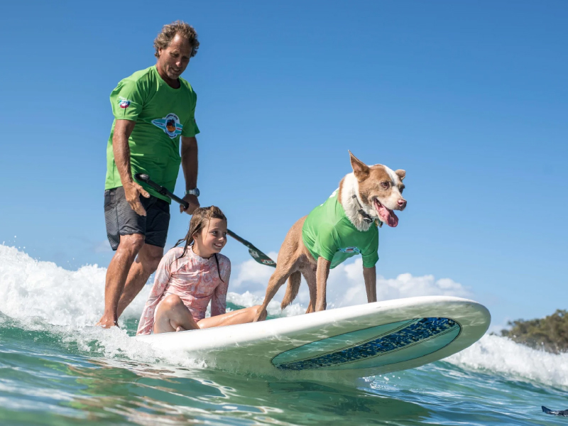 2023 Surfing Dog Championships photo
