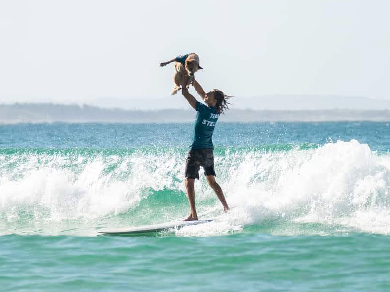 2023 Surfing Dog Championships photo