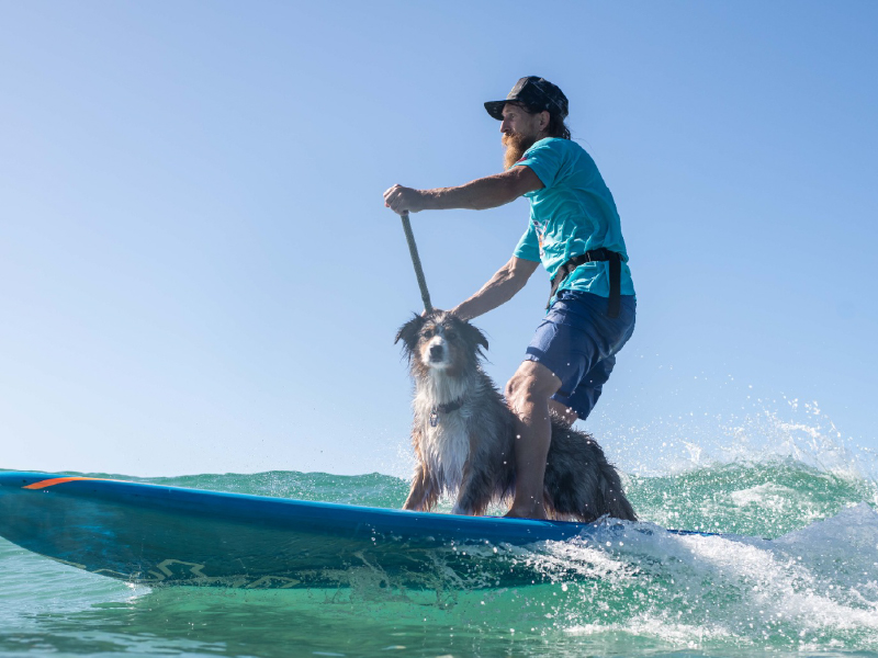 2023 Surfing Dog Championships photo