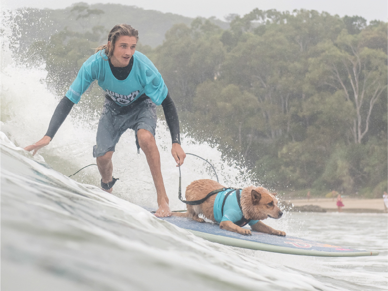 2024 Surfing Dog Championships highlight