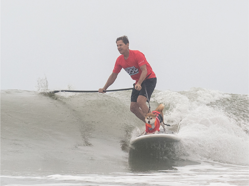 2024 Surfing Dog Championships photo