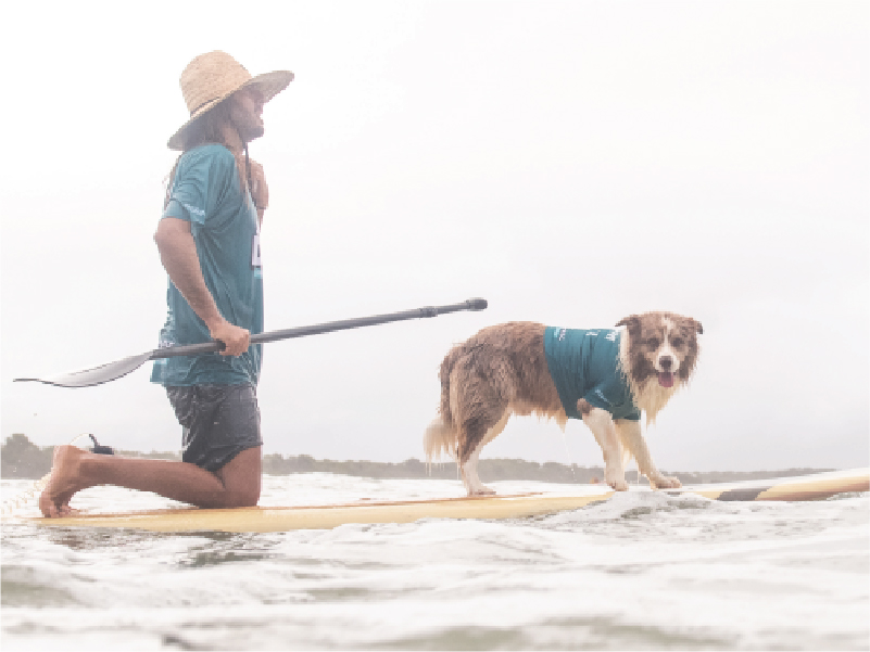 2024 Surfing Dog Championships photo