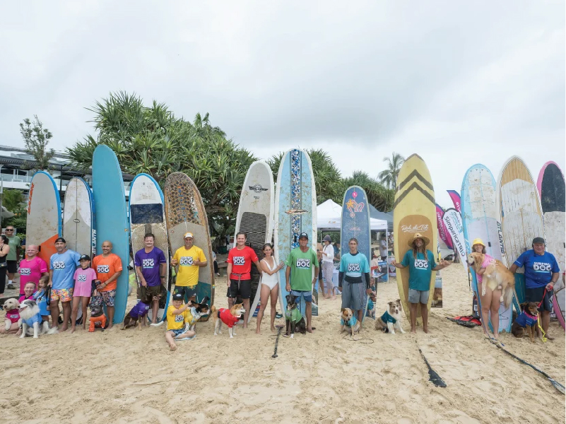 Crowd and competitors at the 2024 Surfing Dog Championships